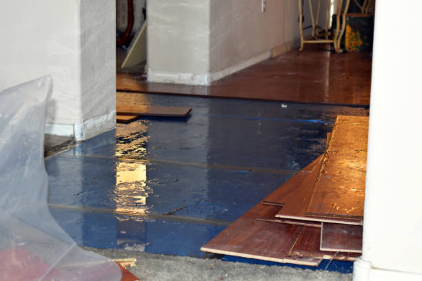 Professional Water Damage technician working in Conroe, TX
