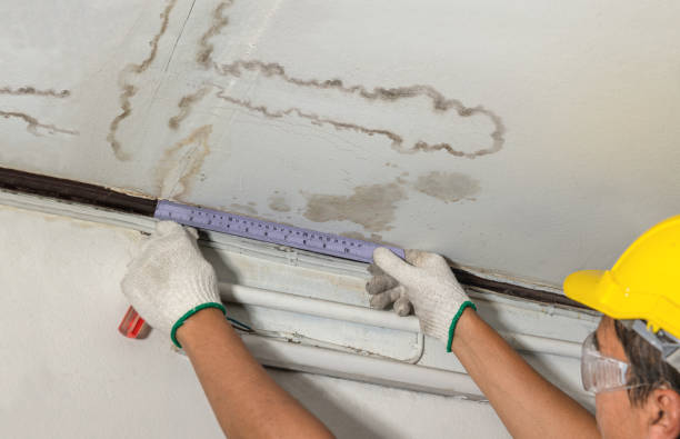 Reliable Water Damage contractor in Conroe, TX by Water Damage Irwin